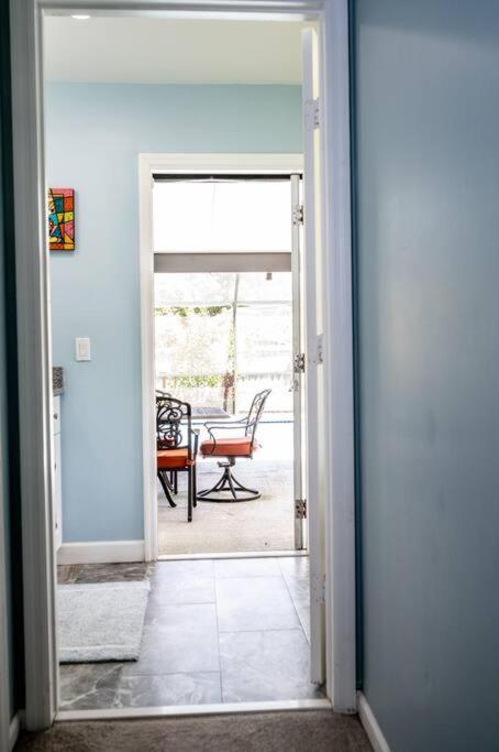 וולינגטון Palm Paradise Luxury Stay/Pool מראה חיצוני תמונה